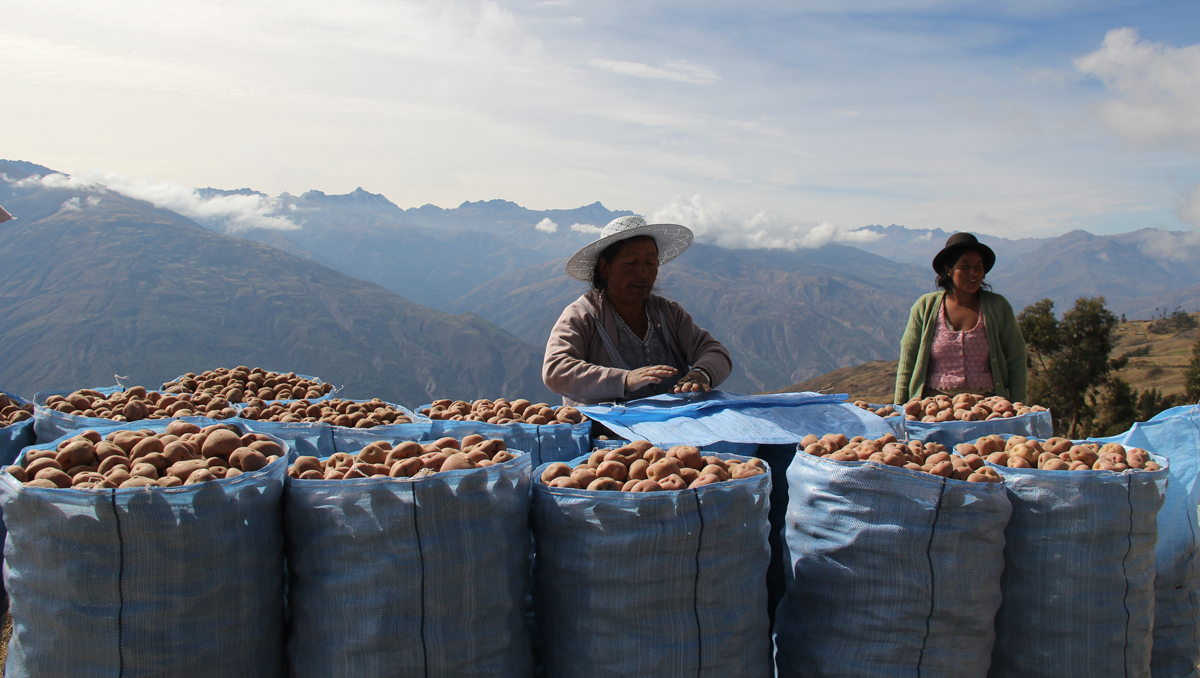 Farming Production Program, Bolivia